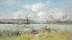 Paesaggio Estivo