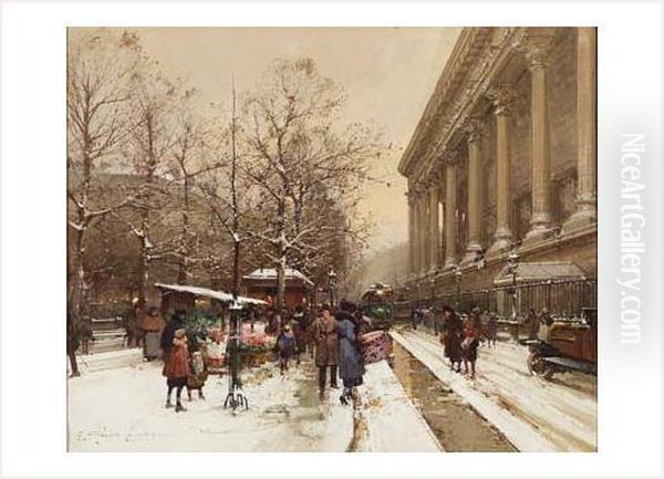 Paris, Neige Sur Le Marche Aux Fleurs Place De La Madeleine - view 1