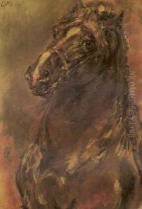 Horse Study