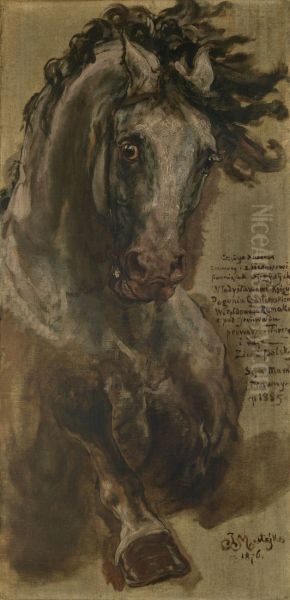 Horse Study I - view 1