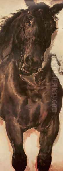 Horse Study II - view 1