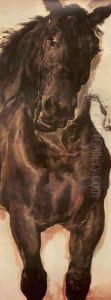 Horse Study II