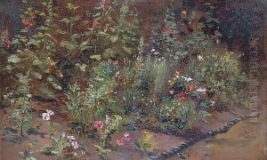 "in Yeend King's Garden, 7th August 1897"bears Inscription On Label Verso