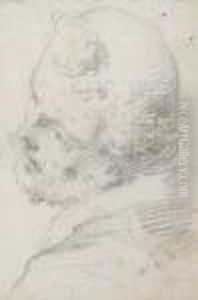 Head Of A Bearded Monk Looking To The Left Head Of A Bearded Monk Looking To The Left