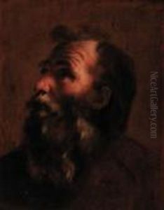 Head Of An Old Man by Gaetano Gandolfi
