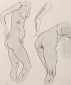 Study Of Female Nude by Henri Gaudier-Brzeska