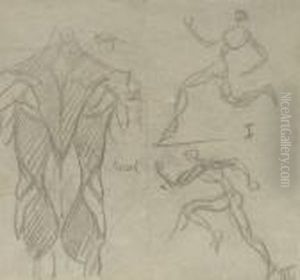 Studies Of Athletes