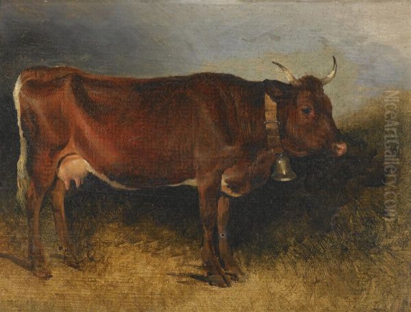A Prize Cow - view 1