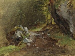 Sunny Woodland Path Sunny Woodland Path