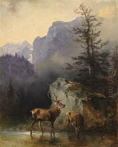 Red Deer At The Watering Place - view 1