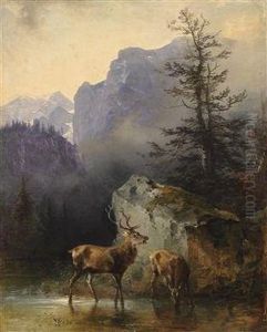 Red Deer At The Watering Place