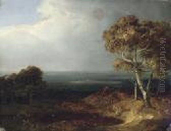 A Wooded Landscape - view 1
