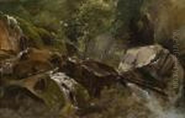 Nature Study"waterfall" - view 1
