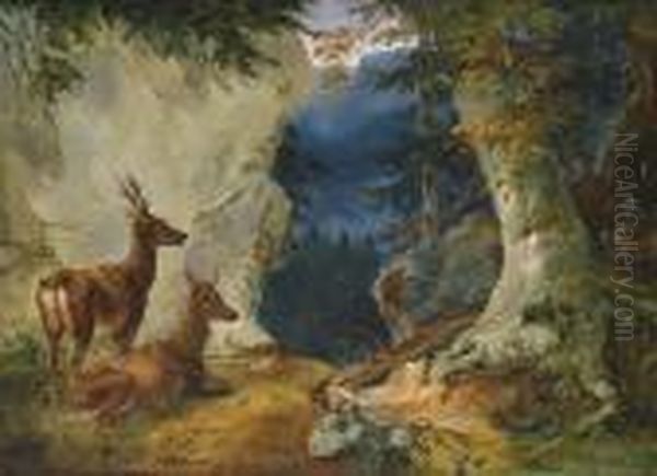 Circle Two Roe Deer In A Mountainlandscape - view 1