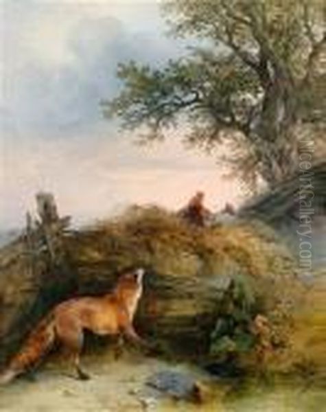 Ein Fuchs Auf Huhner Lauernd - view 1