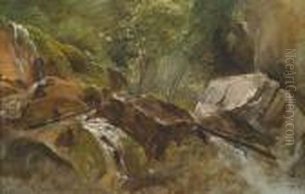Naturstudie"wasserfall" - view 1