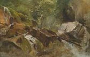Naturstudie"wasserfall" by Friedrich Gauermann