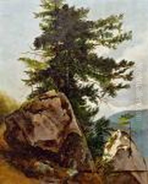 Baumstudie - view 1
