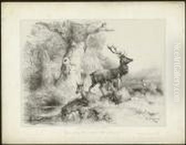 Ein Rudel Edelwild - view 1
