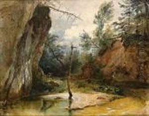 Capriolo In Una Gola Presso Un Ruscello by Friedrich Gauermann