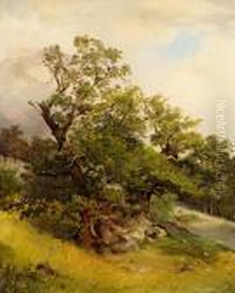 Baumstudie - view 1
