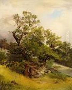 Baumstudie