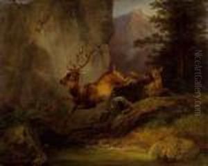 Springender Hirsch An Einer Felswand by Friedrich Gauermann