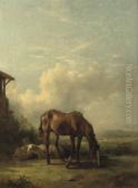 Sheep And A Horse On A Sunny Afternoon - view 1