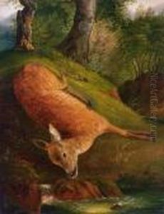 Reh An Der Quelle by Friedrich Gauermann