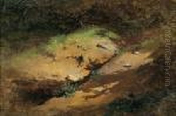 Forest Path - view 1