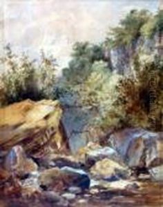 Umkreis. - Bewaldete Berglandschaft Mit Felsgeroll