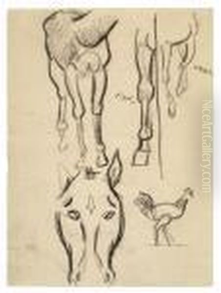 Etude De Chevaux Et Coq - view 1
