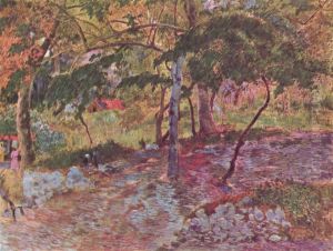 Cours D'eau Sous Les Arbres, Martinique