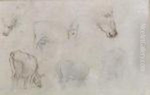 Studies Of Cattle(recto &amp; Verso) by Paul Gauguin