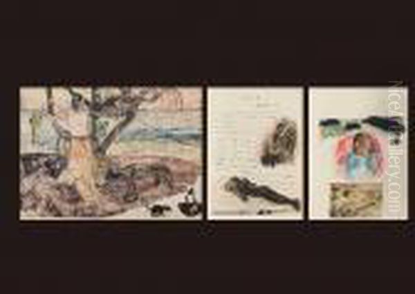Noanoa - view 1