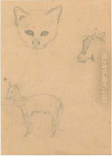 Etude D'animaux - view 1