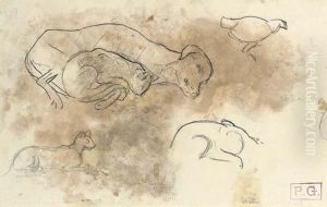 Etudes D'animaux