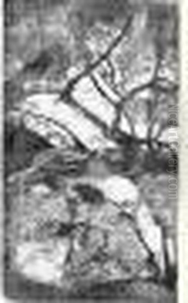 Femme Maorie Dans Un Paysage De Branches D'arbres. 1894-1895. - view 1