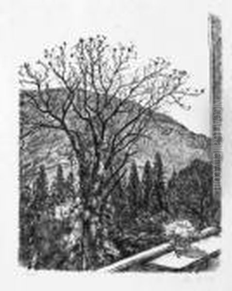 Landschaft Bei Meran - view 1