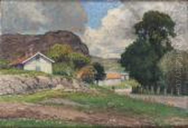 Sommarlandskap - view 1