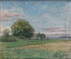 Sommarlandskap by Anton Genberg