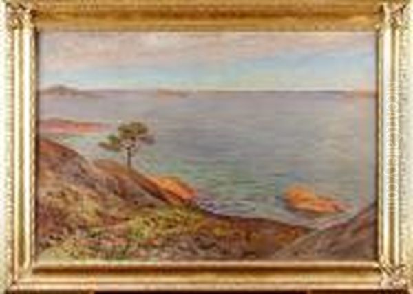 Kustmotiv Medbatar - view 1