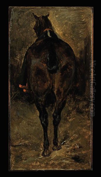 A Horse Croup - view 1