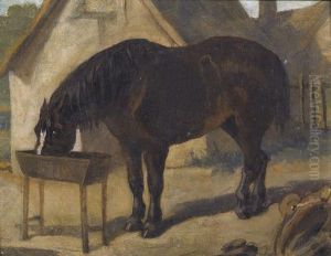 Pferd An Der Tranke
