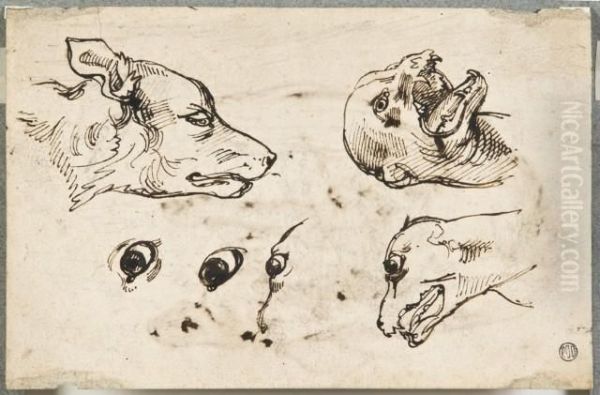 Recto : Tetes De Chien, Deux Etudes De Tete De Chien Ecorches Etcroquis - view 1