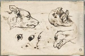Recto : Tetes De Chien, Deux Etudes De Tete De Chien Ecorches Etcroquis