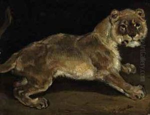 A Lioness