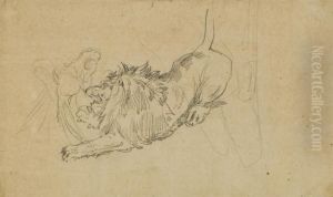 A Lion Attacking A Horse A Lion Attacking A Horse