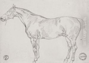 Study Of A Horse
