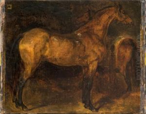 Etude De Cheval Espagnol Dans Une Ecurie